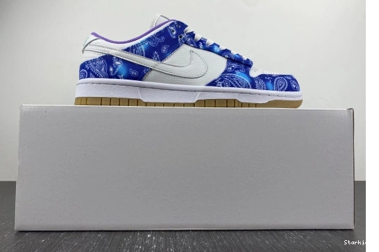 Low SB White Dunk CT5053-041 Navy Nike Blue Purple 0110